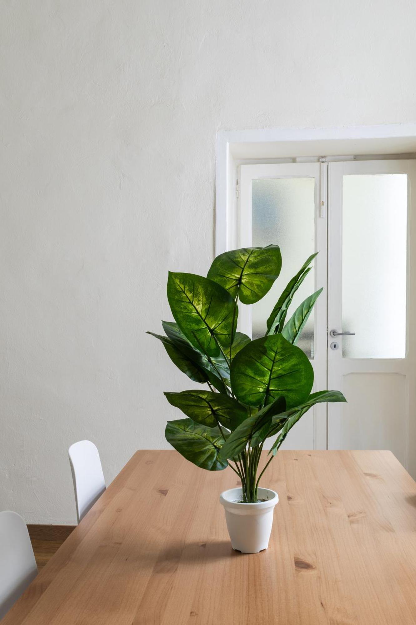 Cozy Historical Flat Napoli Appartement Buitenkant foto