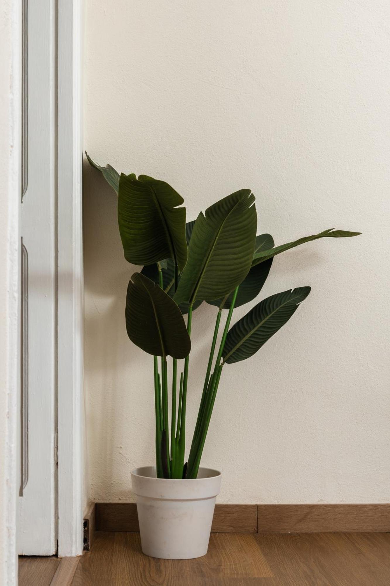 Cozy Historical Flat Napoli Appartement Buitenkant foto